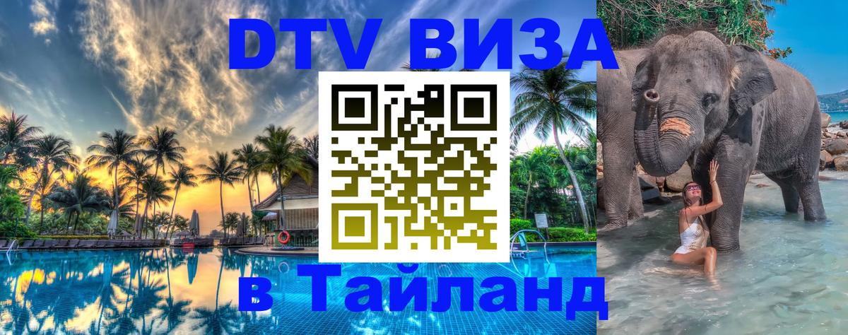 Оформление DTV визы под ключ: стоимость и тарифы, только загранпаспорт - Абакан 